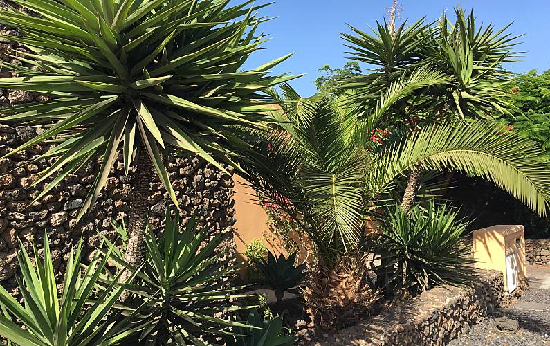 Vivenda Exterior da casa Forteventura La Oliva vivenda - Exterior da casa