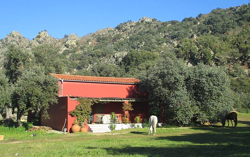 Villa Extérieur de la maison Caceres Montánchez Gîte maison - Extérieur de la maison