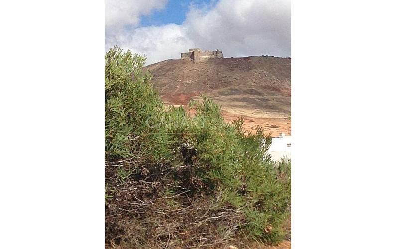 Ferienhaus Lanzarote Teguise Ferienhaus - 